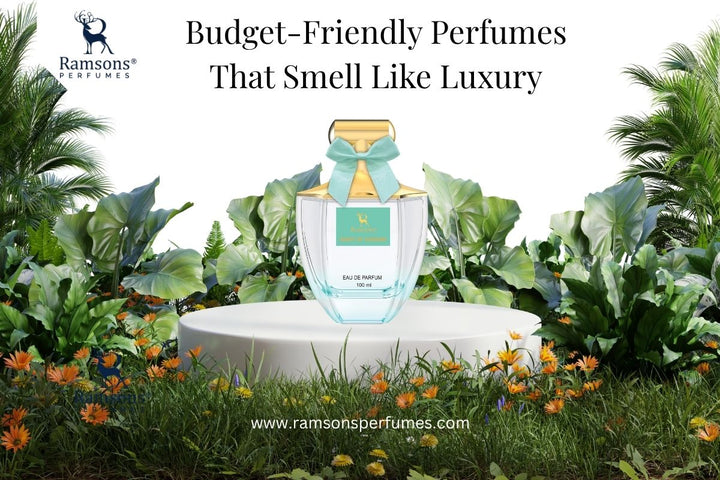 Ramsons budget-friendly luxury perfume bottle on display with floral and tropical background – Scent of Wonder 100ml Eau de Parfum.