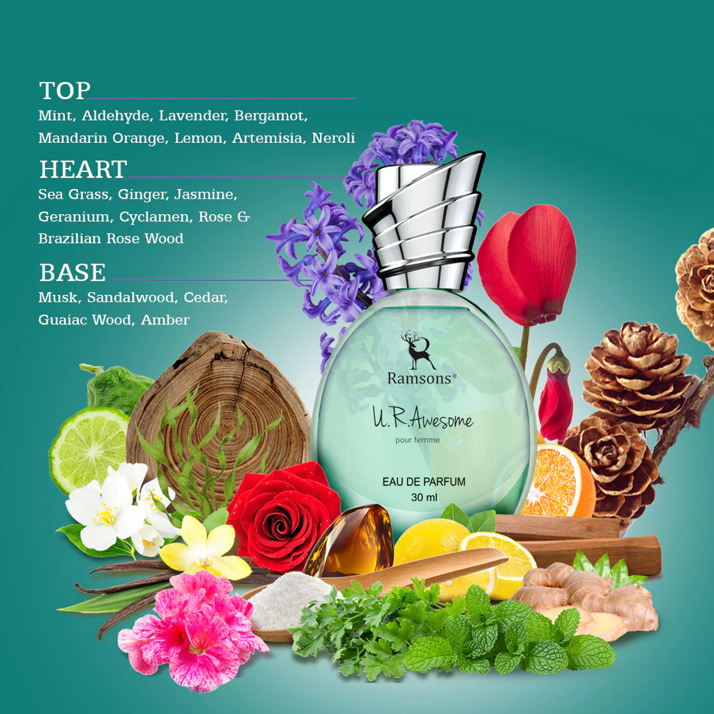 THE AESTHETICS OF THE ART OF PERFUMERY – Ramsons Perfumes