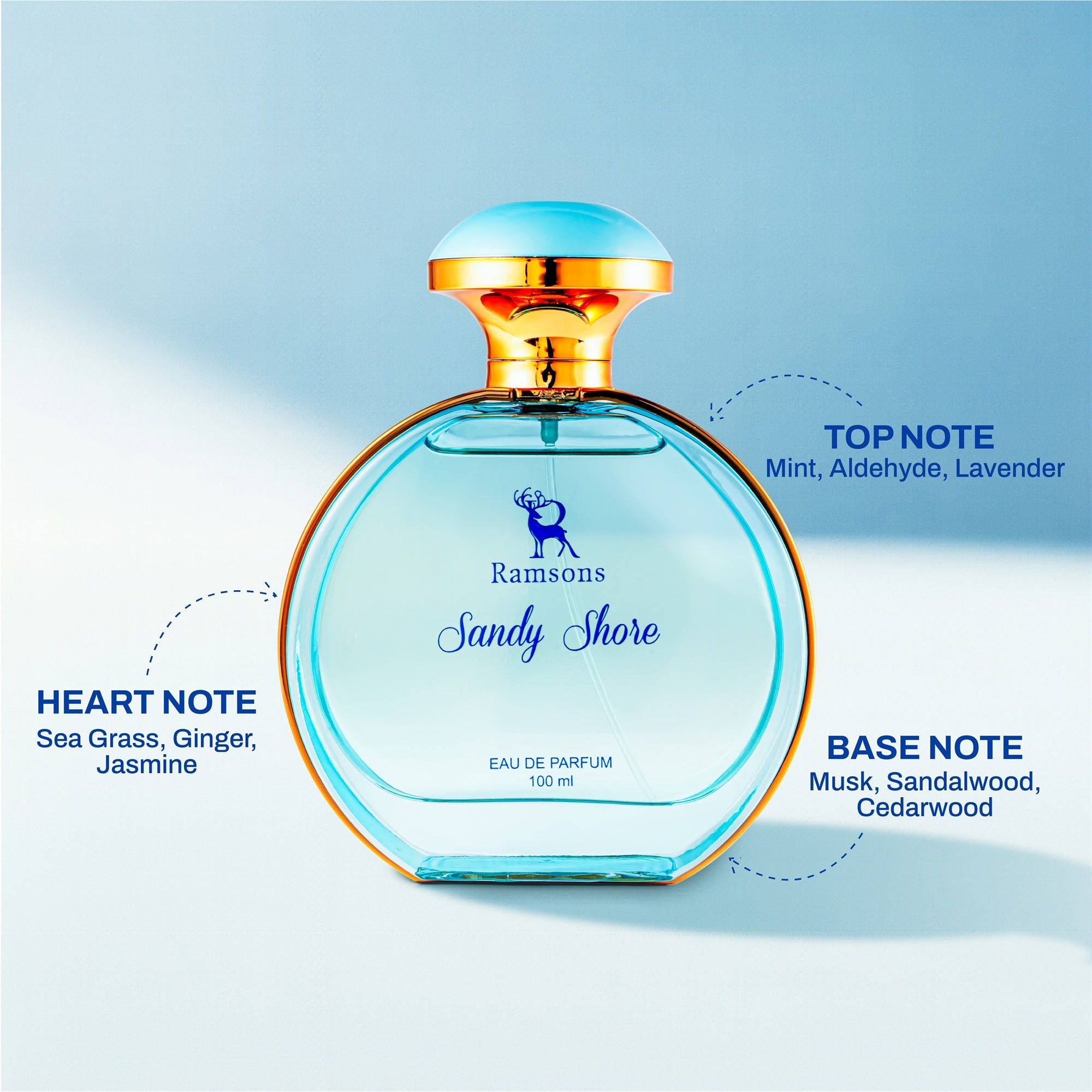 Sandy Shore - Eau De Parfum - 100ML